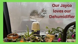 Does my RV need a Dehumidifier [upl. by Hernando729]