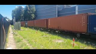 44204 4532 C509 going pass Marrickville Station in February 2023 [upl. by Jamnis]