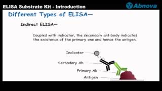 ELISA Substrate Kit  Introduction [upl. by Oiznun849]