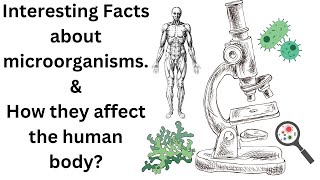 Interesting facts  How microorganisms affect the human body Biology Living Organisms [upl. by Atteyek]