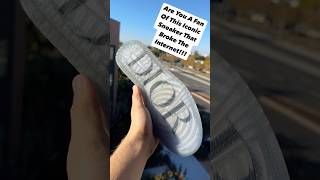 Jordan 1 Dior Are You A Fan nike adidas yeezy jordan shoe shoes sneaker sneakers hype [upl. by Laforge]