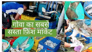 Cheapest Fish MarketGoa सबसे सस्ता फ़िश मार्केट [upl. by Salvador963]