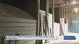 Arkport farm grows potatoes to make chips [upl. by Assennav]