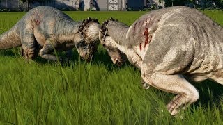 Jurassic World Evolution  Pachycephalosaurus vs Pachycephalosaurus 1080p 60FPS [upl. by Elsie641]