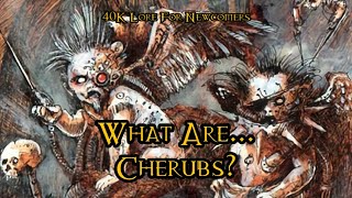 40K Lore For Newcomers  What Are Cherubs  40K Theories [upl. by Rosco]