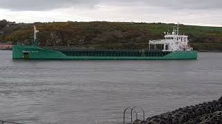 Shipping in Waterford estuary 🇮🇪 [upl. by Trimble]