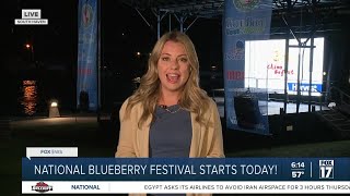 6A  National Blueberry Festival begins in South Haven for 61st year [upl. by Selec808]