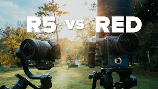 Canon R5 8K RAW vs RED 5K RAW [upl. by Uhile]