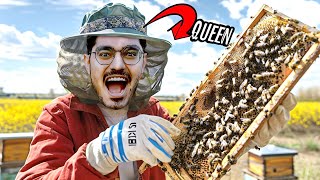 मधुमक्खियों ने किया खतरनाक हमला  Dangerous Bee Hive Exploration Adventure🥵 Do Not Try [upl. by Sualokin665]