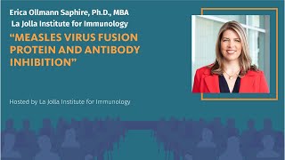 Measles virus Fusion protein and antibody inhibition  Erica Ollmann Saphire PhD MBA [upl. by Lleraj706]