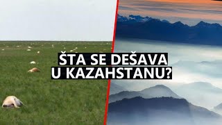 Čudni Događaji Misteriozno Spavanje i Nestanak Životinja [upl. by Odelle]