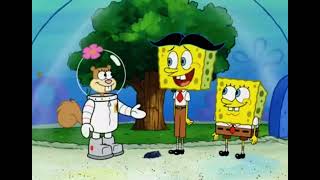 SpongeBob Season 5 Episode 41 Stanley S SquarePants Part 4 spongebob nickelodeon [upl. by Gastineau]