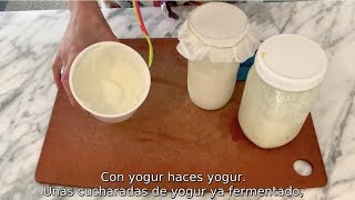 LOS BÚLGAROS NO PRODUCEN YOGUR fermentos mesófilos vs termófilos [upl. by Adiaros]