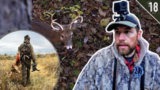 Pre Rut Bowhunting on Public Land  Iowa and Missouri [upl. by Ecenaj]