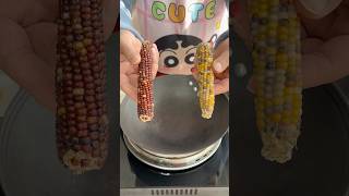 Make popcorn with a whole corn cobpopcorn asmr [upl. by Yltnerb340]