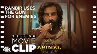 ANIMAL TELUGU SCENE 13 Ranbir Uses The Gun For Enemies😲🔥  Ranbir K Rashmika Sandeep V [upl. by Grigson]