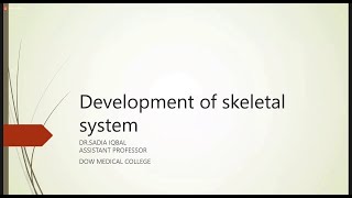 Development of Skeletal System  Embryology [upl. by Noslen]