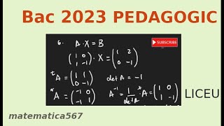 Bac 2023 Matematica modul Pedagogic [upl. by Aneehta]