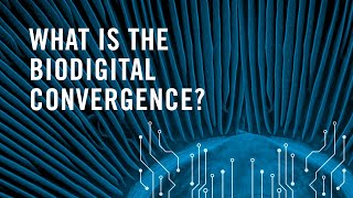 What is the biodigital convergence [upl. by Candice]