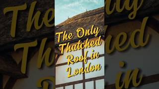 The one and only thatched roof in heart of London [upl. by Meluhs346]