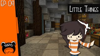 Little Things  SSP w Tiggy 09 [upl. by Nayr]