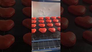 Macarons baking in the oven time lapse So satisfying baking cakedecorating [upl. by Sokcin406]