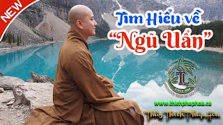 Ngũ Uẩn Là Gì vấn đáp  Thầy Thích Pháp Hòa [upl. by Jobina]