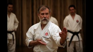 Asai Kata Dai Itsu KenBassai Kihon and Bunkai step by step Dormenko Sensei 8 dan [upl. by Nenerb]