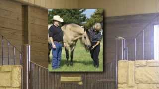 Hollywood Dun It  2012 American Quarter Horse Hall of Fame Inductee [upl. by Maletta]