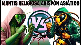 MANTIS RELIGIOSA VS AVISPÓN ASIÁTICO [upl. by Leroi]