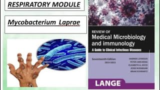 Respiratory microbiology mycobacterium laprae leprosy levinson bacteria microbiology [upl. by Horbal]