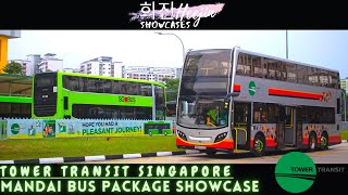 SMRT to Tower Transit Mandai Bus Package Music Video Showcase [upl. by Harald667]