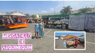 MERCADILLO DE ARGUINEGUIN varinia ramirez [upl. by Ellehcim226]