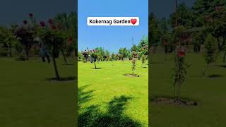 kokernag Garden❤ [upl. by Leblanc631]