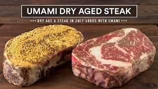 UMAMI Dry Age STEAK Experiment [upl. by Irved]