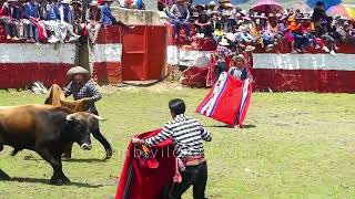 corrida de toros tradicional Chumbivilcas livitaca 2024 [upl. by Ranita]