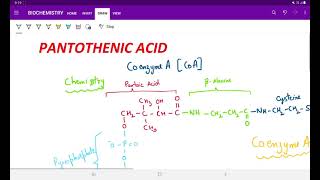 COENZYME A PANTOTHENIC ACID [upl. by Anigar]