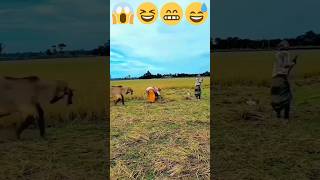 Sabse Hansi funny video animal🤣💯 love youtube shoes video [upl. by Porter639]