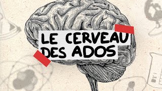 Le cerveau des ados expliqué en 3 minutes [upl. by Giguere]