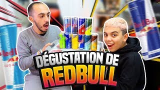 DÉGUSTATION DE 10 REDBULL DIFFÉRENTE AVEC MOMO ET LIA [upl. by Erinna]