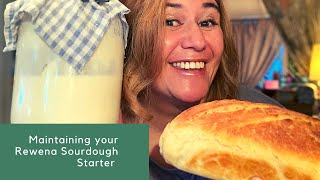 How to Maintain your Rewena Sourdough Starter Bug [upl. by Olotrab]