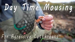 Fly Fishing Utahs Most Aggressive Cutthroats With Mice [upl. by Repard670]