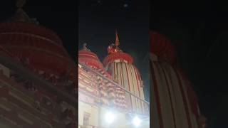 Borigumma Mandir Bada ekadashi 🙏sortviral subscribe [upl. by Yerfoeg719]