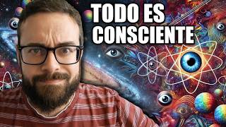 El Panpsiquismo no es tan loco como piensas 🤯  Problema de la conciencia [upl. by Frederigo]