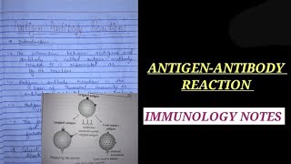 ANTIGEN ANTIBODY REACTION NOTES immunologynotes bsczoology vbu bbmku skmu zoologynotes bio [upl. by Grantley]