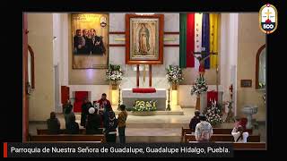 EN VIVO Celebración Eucarística San Lucas Evangelista [upl. by Adiehsar]