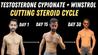 How to use Testosterone Cypionate amp Stanozolol Steroid Cycle for lean muscle gaining [upl. by Wheelwright]