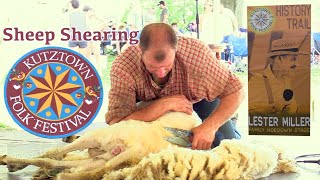 Expert Level Sheep Shearing at The Kutztown Folk Festival [upl. by Reniti]