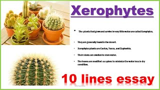 Xerophytes  10 lines essay on Xerophytes  10 lines on Xerophytes [upl. by Edecrem]