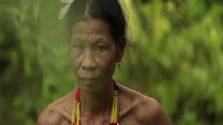 Things to learn about the Mentawai Tribe tribes indigenouspeoples [upl. by Aicirtam992]